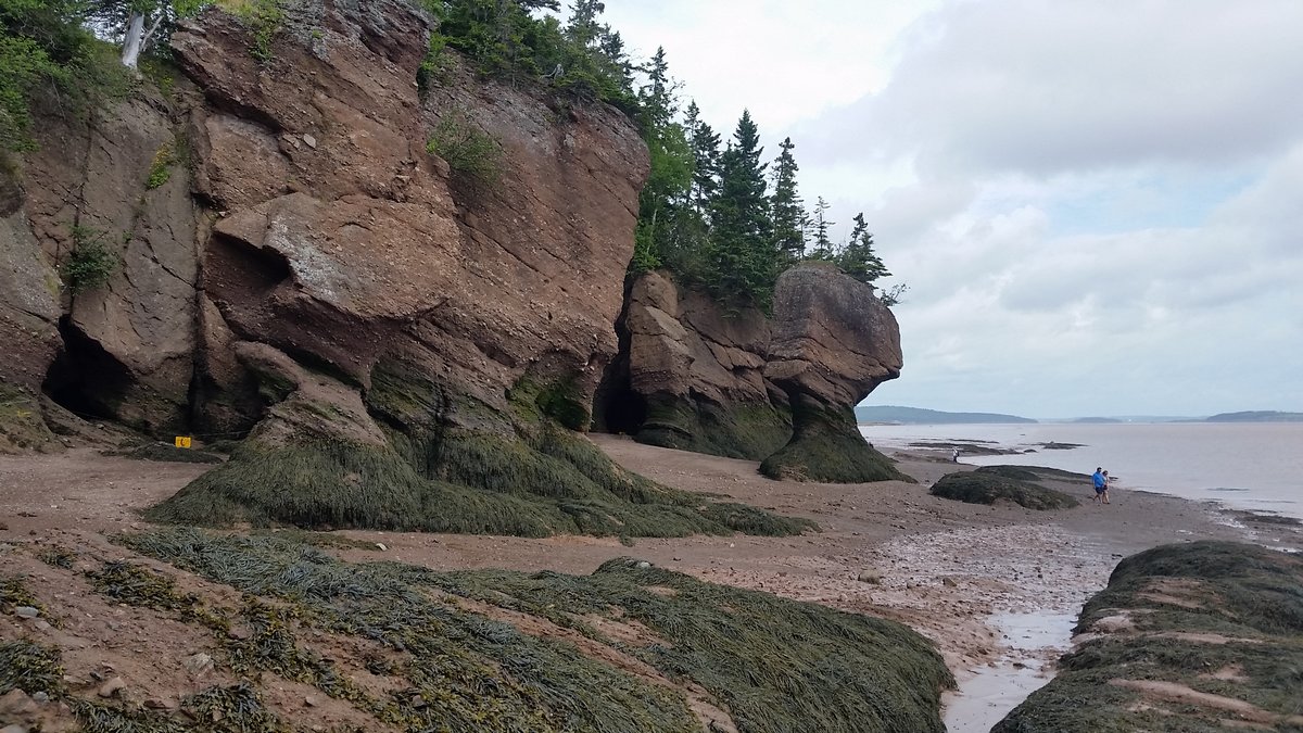 n_hopewell_rocks (13).jpg